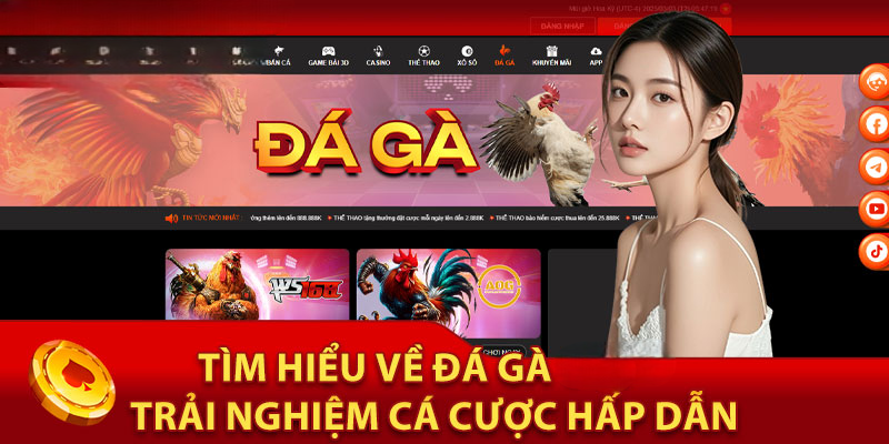 Đá Gà WOW888 – Trải Nghiệm Đỉnh Cao Của Thế Giới Cá Cược